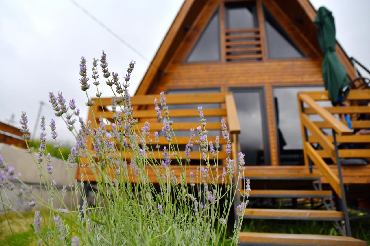 Kazbegi Spa Resort Cottages Kültér fotó